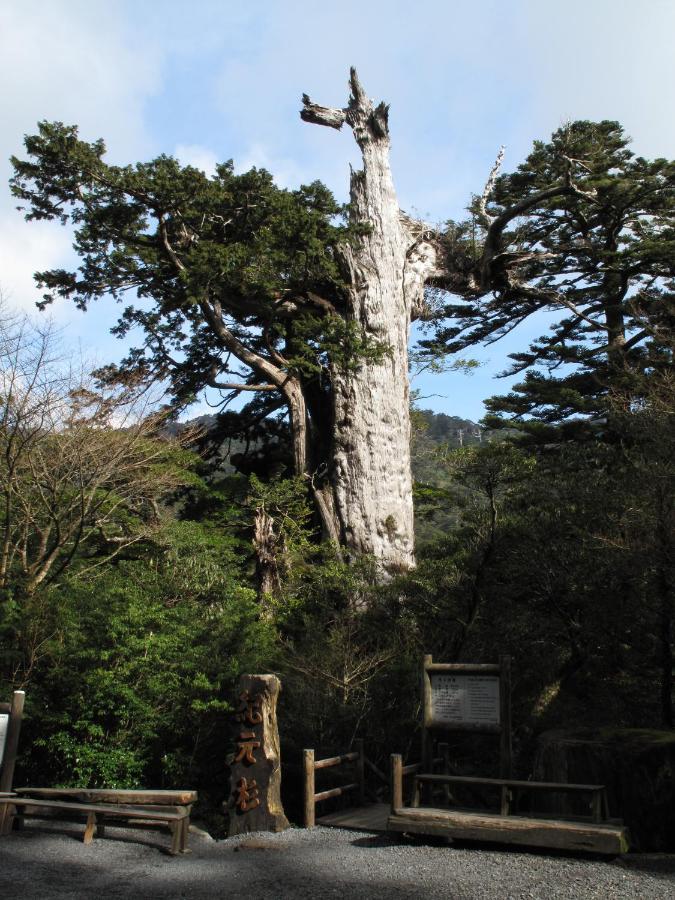 Hotel Yakushima Sanso Exteriör bild